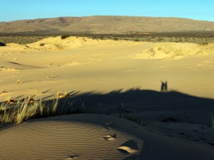 Witsand Nature Reserve