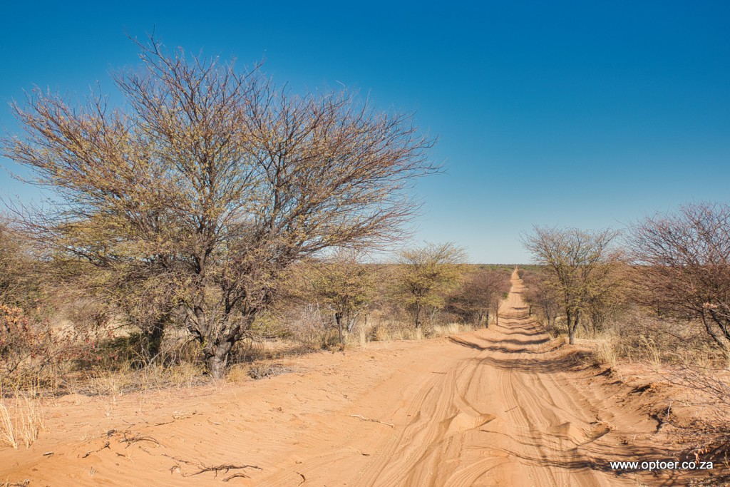 Track To Mapayatutlwa