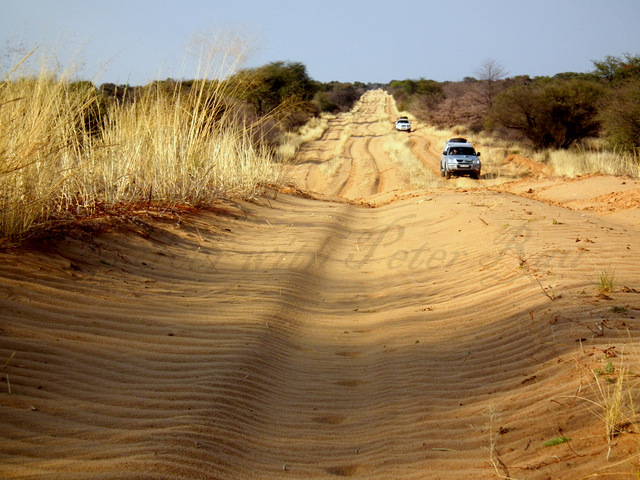 Between Tsabong and Mabuasehube
