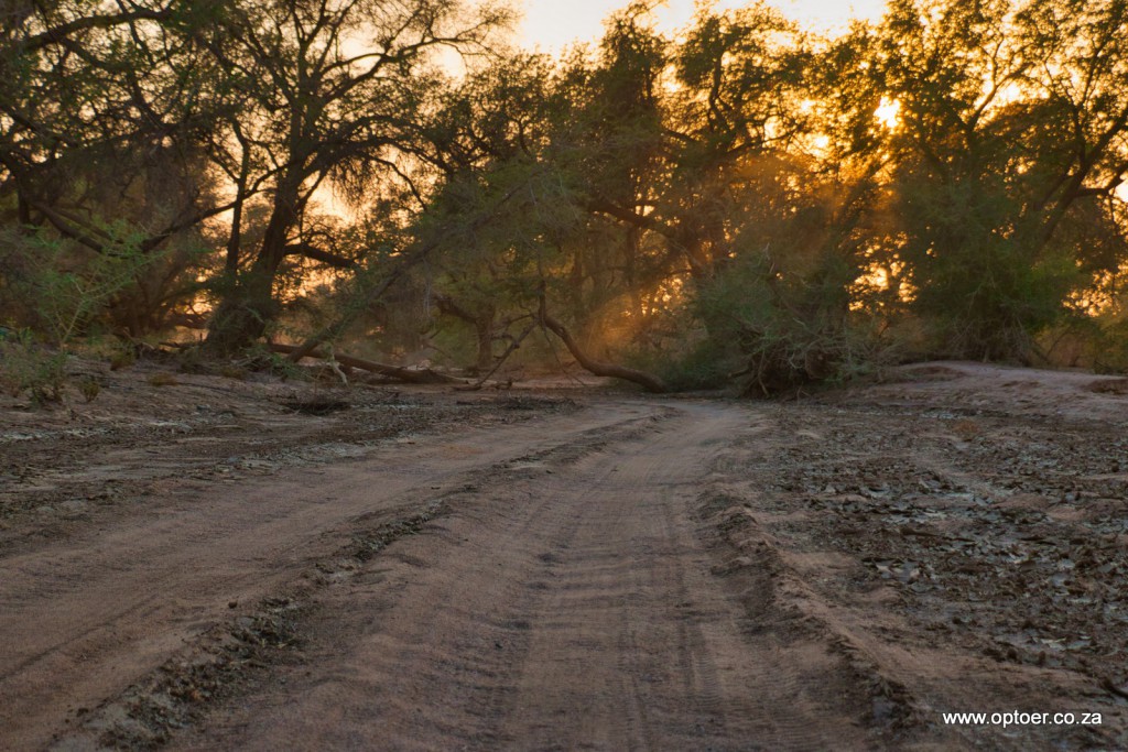 Sunrise in the Ugab River