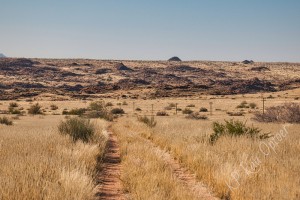 Grasslands in the Bushmanland