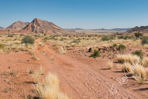 a view to Klein Pella